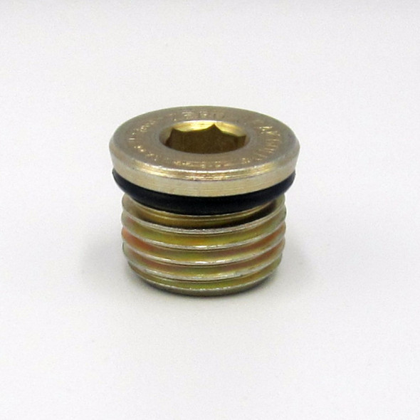 Mustang 2150RT Drive Motor End Cover Oil Plug - Magnetic (2)