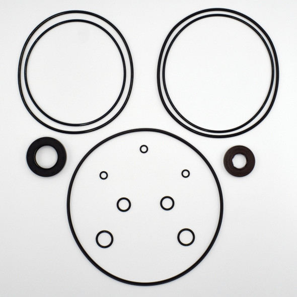 CASE TR270 Hydraulic Drive Motor Seal Kit - Replaces OEM Part Number 87619920. -2