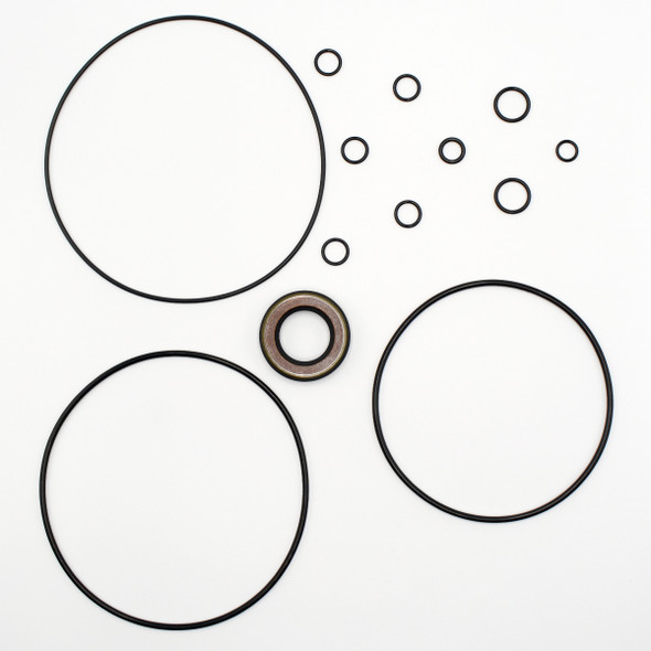 Takeuchi TL150 Hydraulic Drive Motor Seal Kit (2)