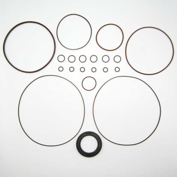 Final Drive Seal Kit for New Holland LT185.B Track Loader Hydraulic Motor -2