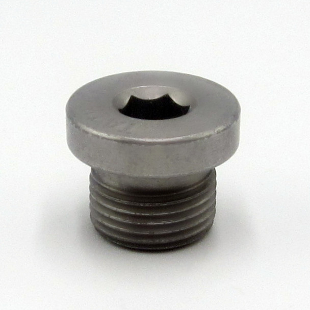 CASE TR340 Drive Motor End Cover Oil Plug