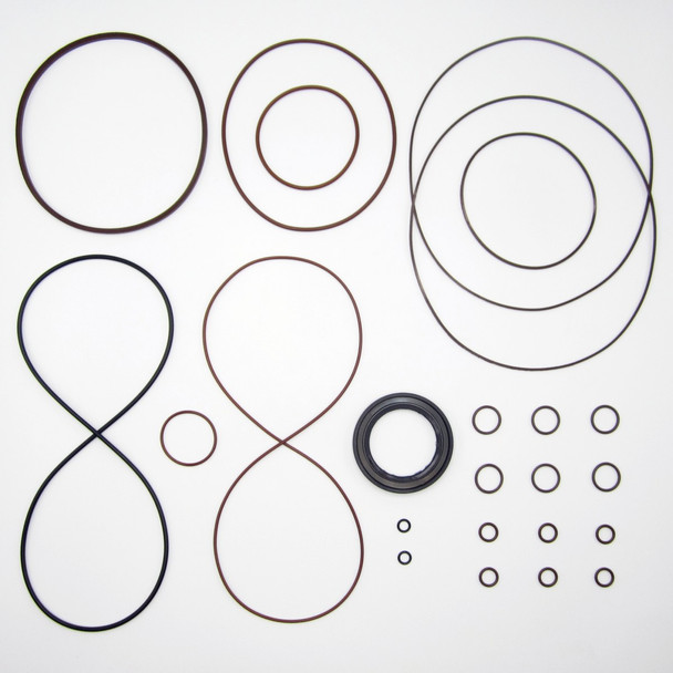Final Drive Seal Kit for CASE 450CT Series 3 Track Loader Hydraulic Motor