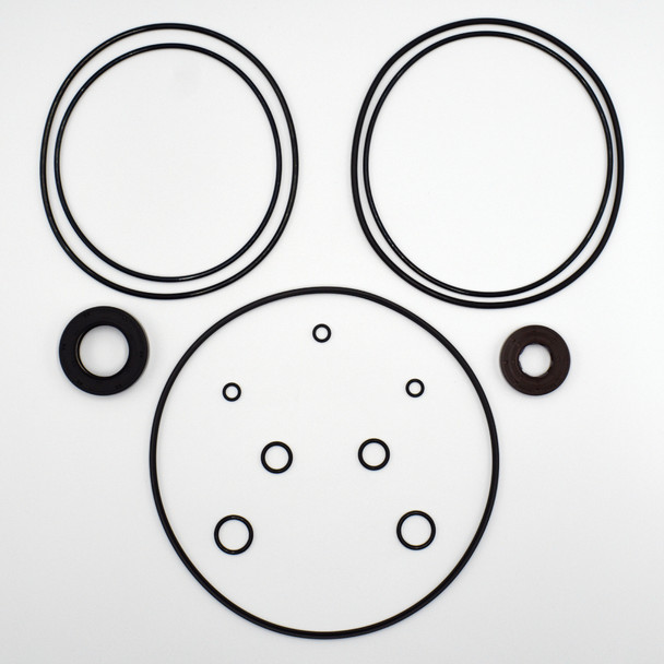 CASE 440CT Hydraulic Drive Motor Seal Kit - Replaces OEM Part Number 87619920 (2)