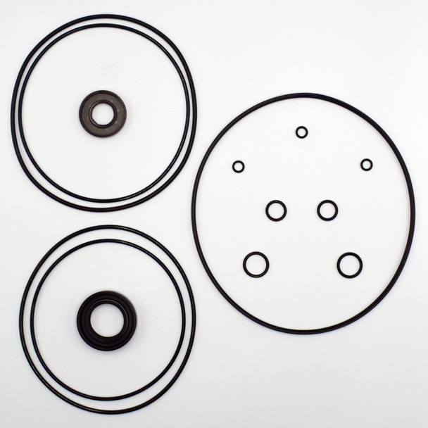 New Holland C337 Hydraulic Drive Motor Seal Kit - Replaces OEM Part Number 87619920