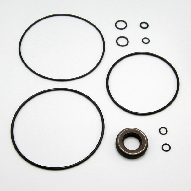 Mustang MTL312 Hydraulic Drive Motor Seal Kit