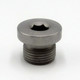 New Holland C185 Drive Motor End Cover Oil Plug