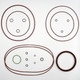 GEHL RT135 Hydraulic Drive Motor Seal Kit