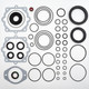 CASE SR175 Hydraulic Drive Pump Seal Kit - Direct Replacement for OEM Part Numbers 86594279, 86502308, 251673A1, 251673A2