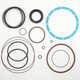 ASV RT40 Hydraulic Drive Motor Seal Kit - Replaces OEM Part Numbers 2010-953 & 2010-738