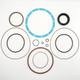 ASV RT50 Hydraulic Drive Motor Seal Kit - Replaces OEM Part Numbers 2010-953 & 2010-738 (2)