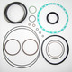 Volvo MCT110D Hydraulic Drive Motor Seal Kit - Replaces OEM Part Number VOE17256113, VOE17397061