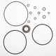 Kubota SVL95-2S Hydraulic Drive Motor Seal Kit (2)