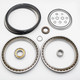Takeuchi TL150 Hydraulic Drive Motor Rebuild Kit