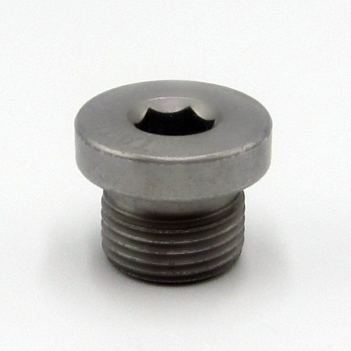 GEHL RT175 Drive Motor Oil Plug