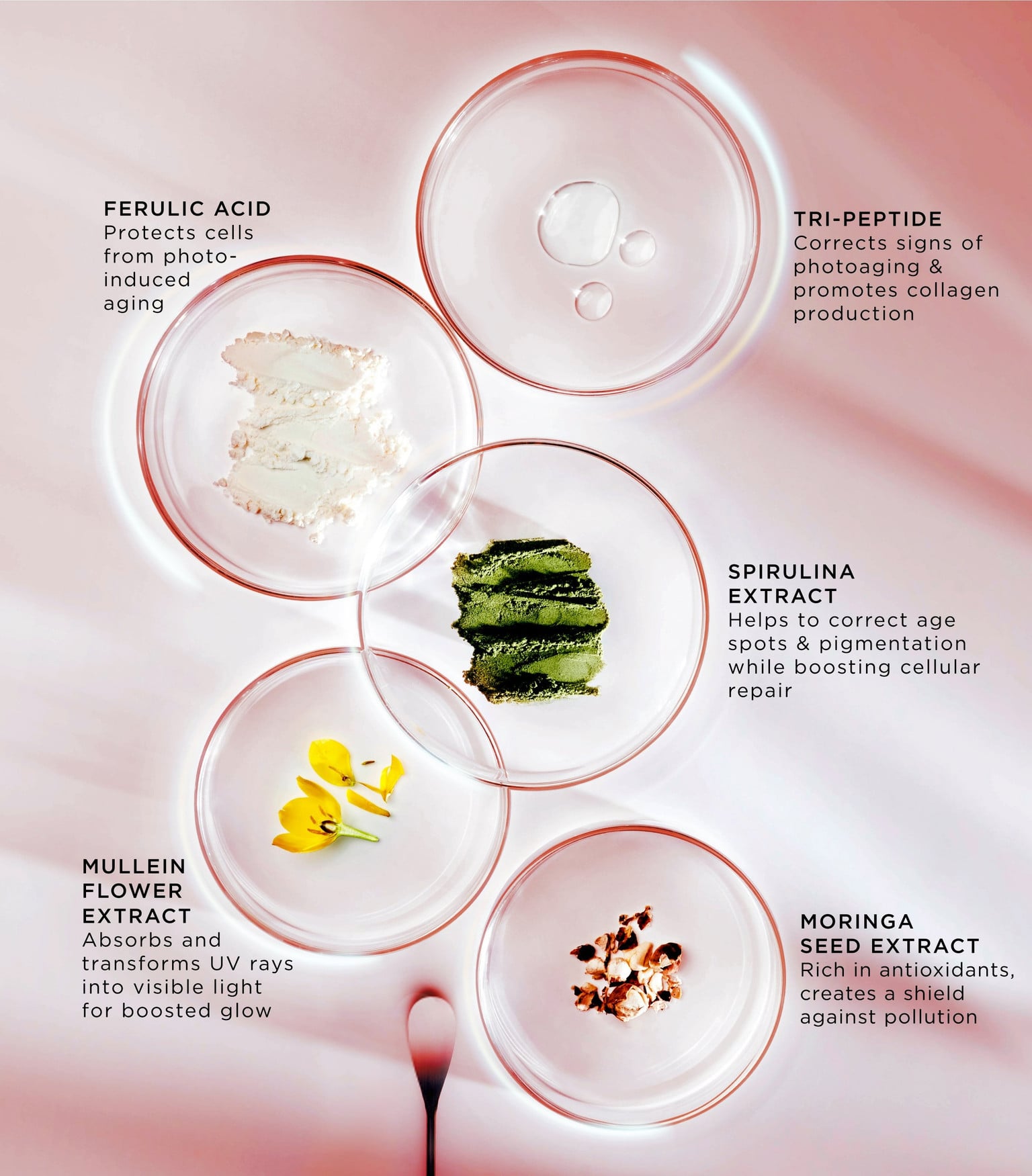 Multi-Defense Cream SPF50 3