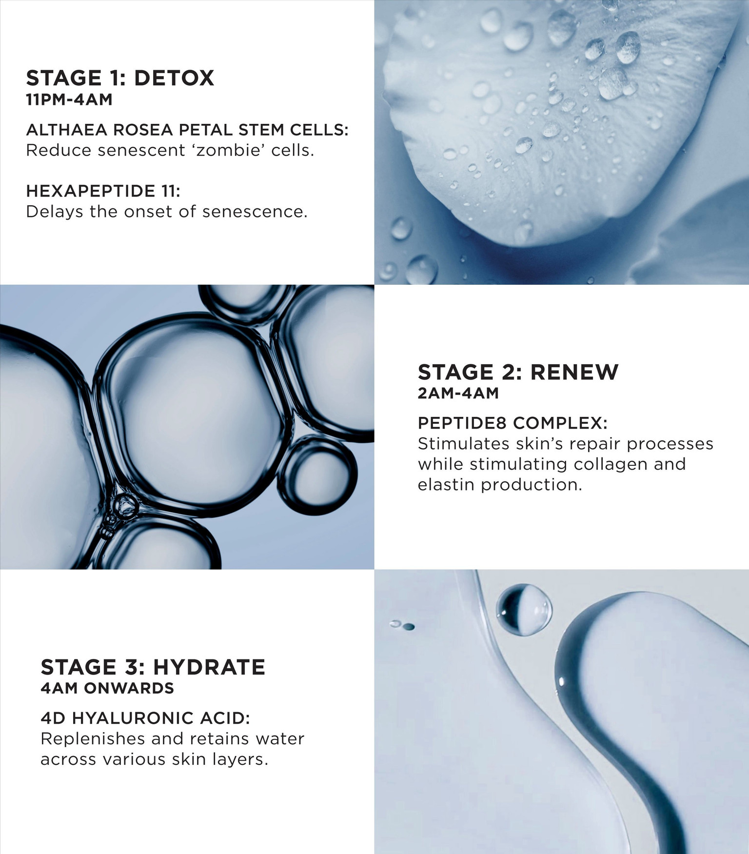Peptide8 Night Serum | Noble Panacea