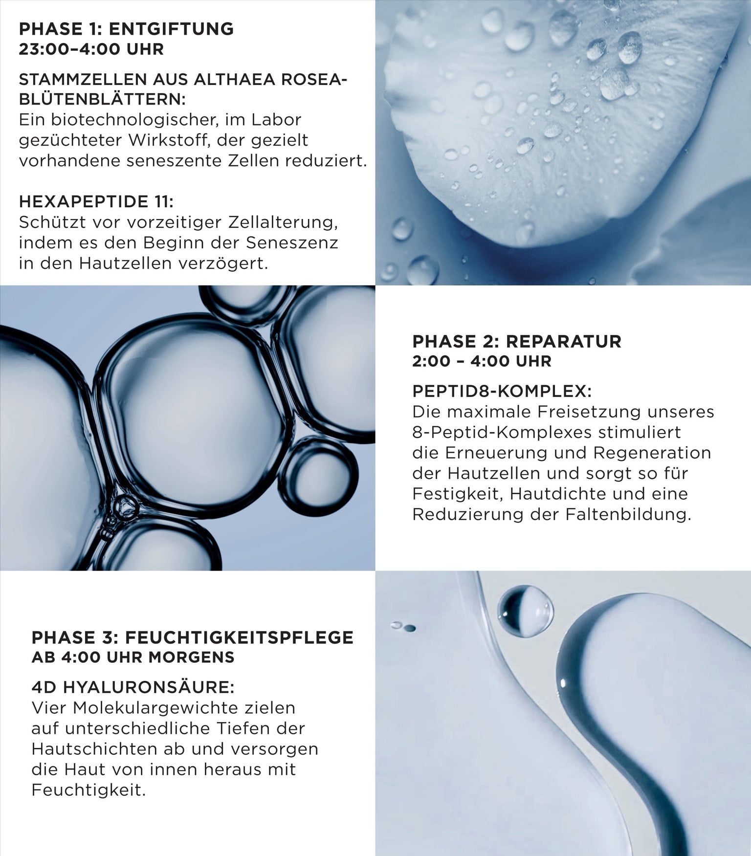 Peptide8 Night Serum Refill 4