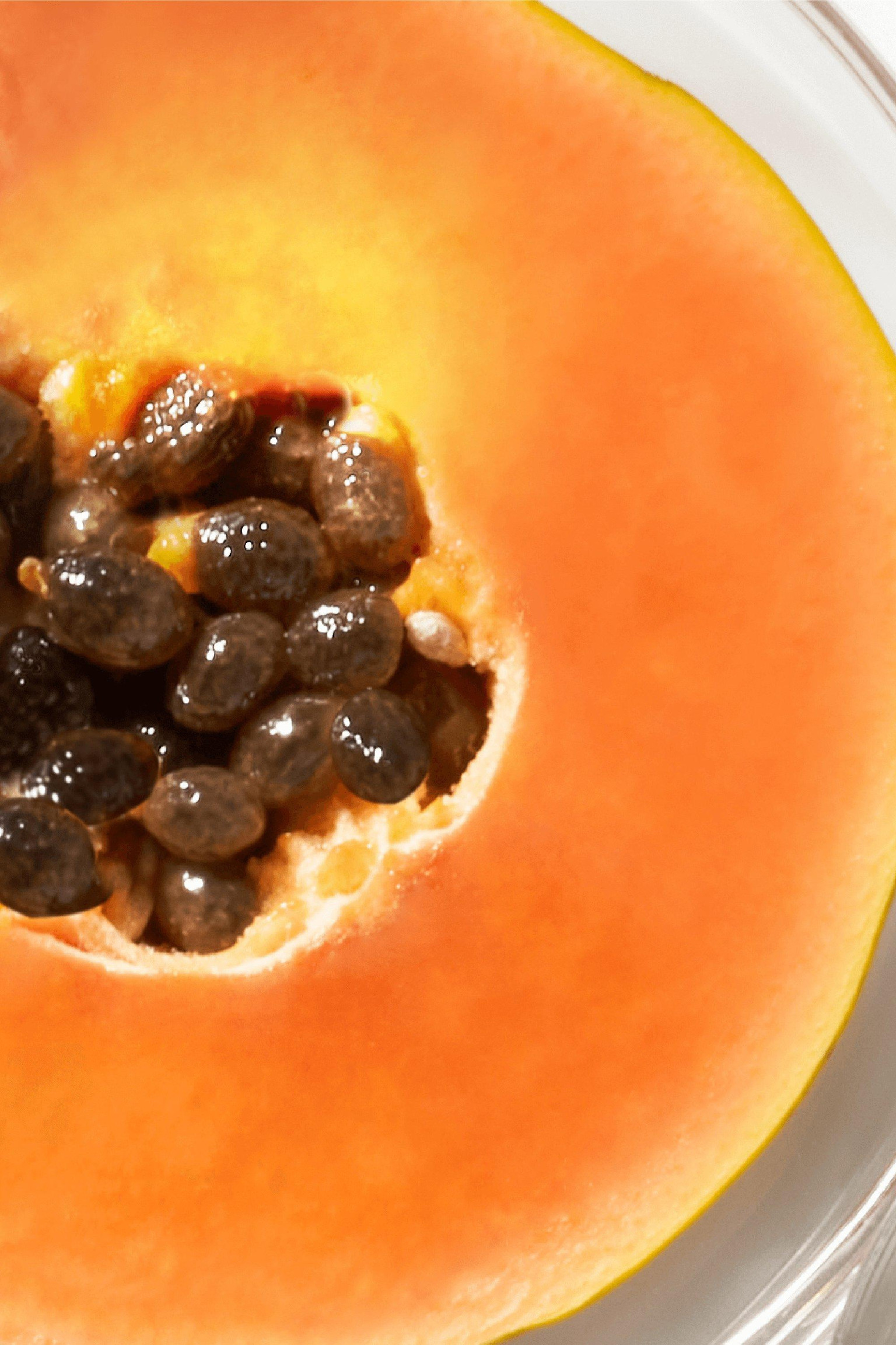 CARICA PAPAYA 1