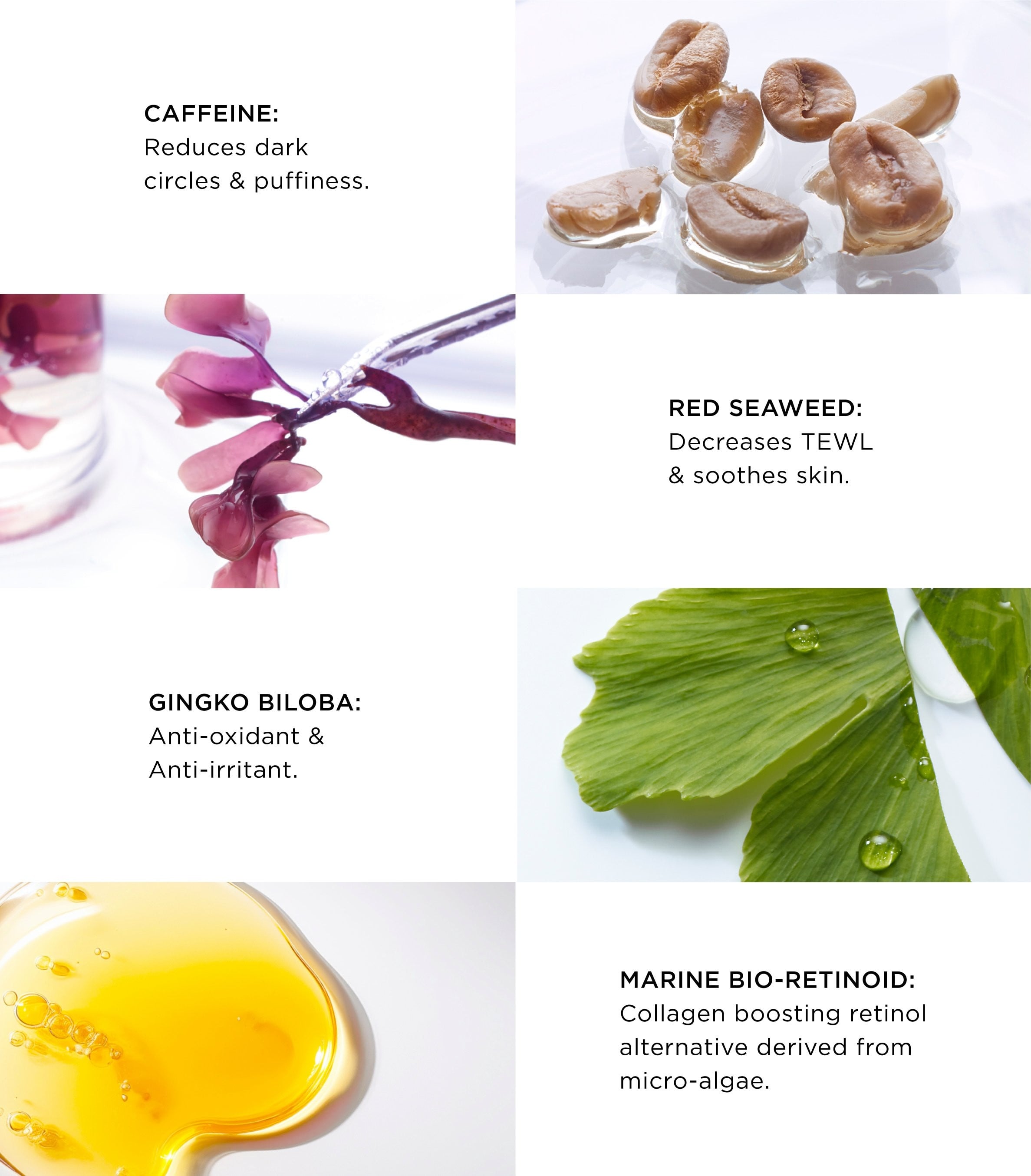 Vibrant Eye Infusion 5