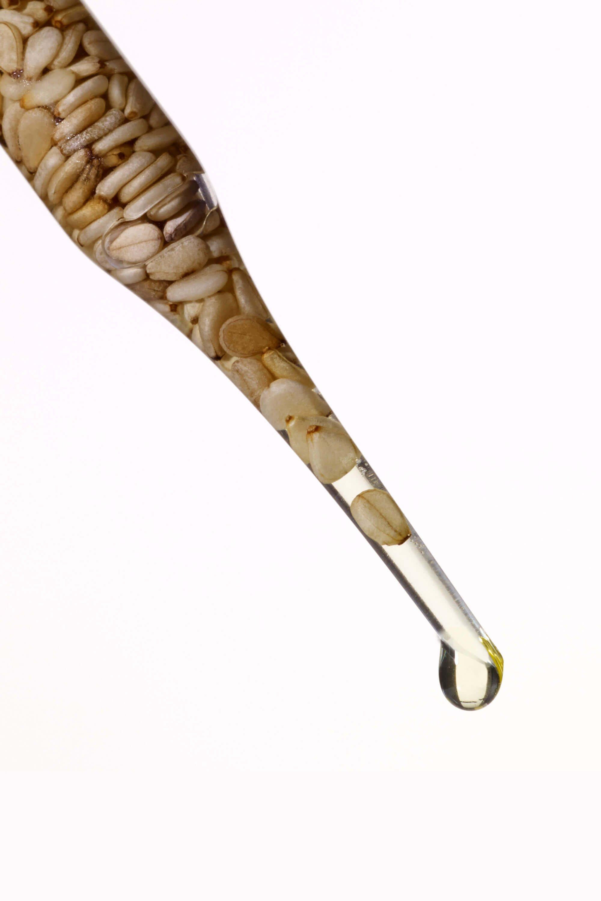 SESAME SEED 1