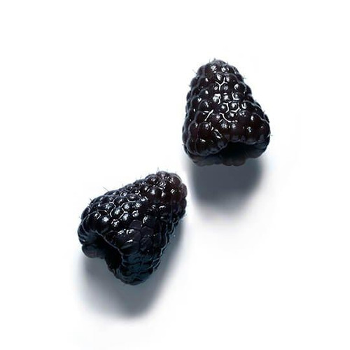 BLACK RASPBERRY