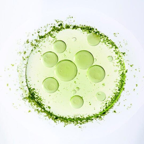 MICROALGAE