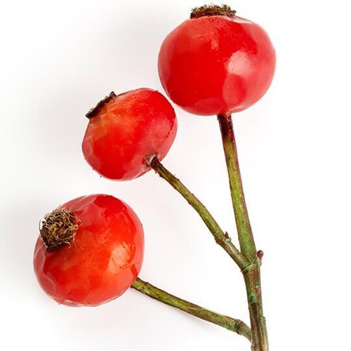 ROSEHIP