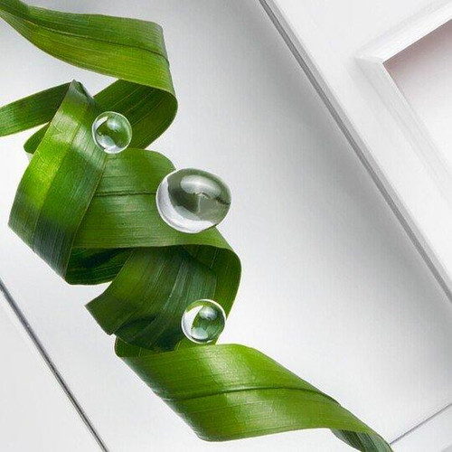 SERENOA SERRULATA FRUIT EXTRACT