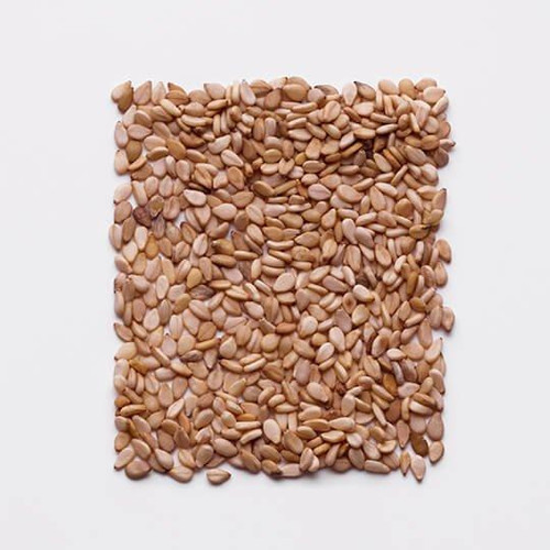 SESAME SEED
