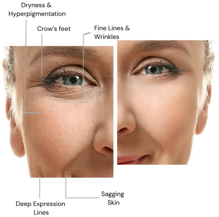 Anti-Aging Peptide Supplements for Healthy Aging