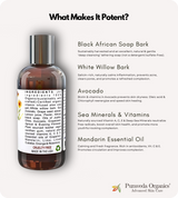 Daily Foaming Cleanser for Normal (Vata) Skin