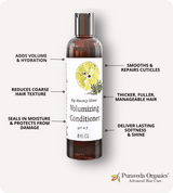 Big Bouncy Shine Volumizing Conditioner  