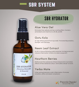 SBR SYSTEM: For Sensitive, Blemished, and Rosacea Skin