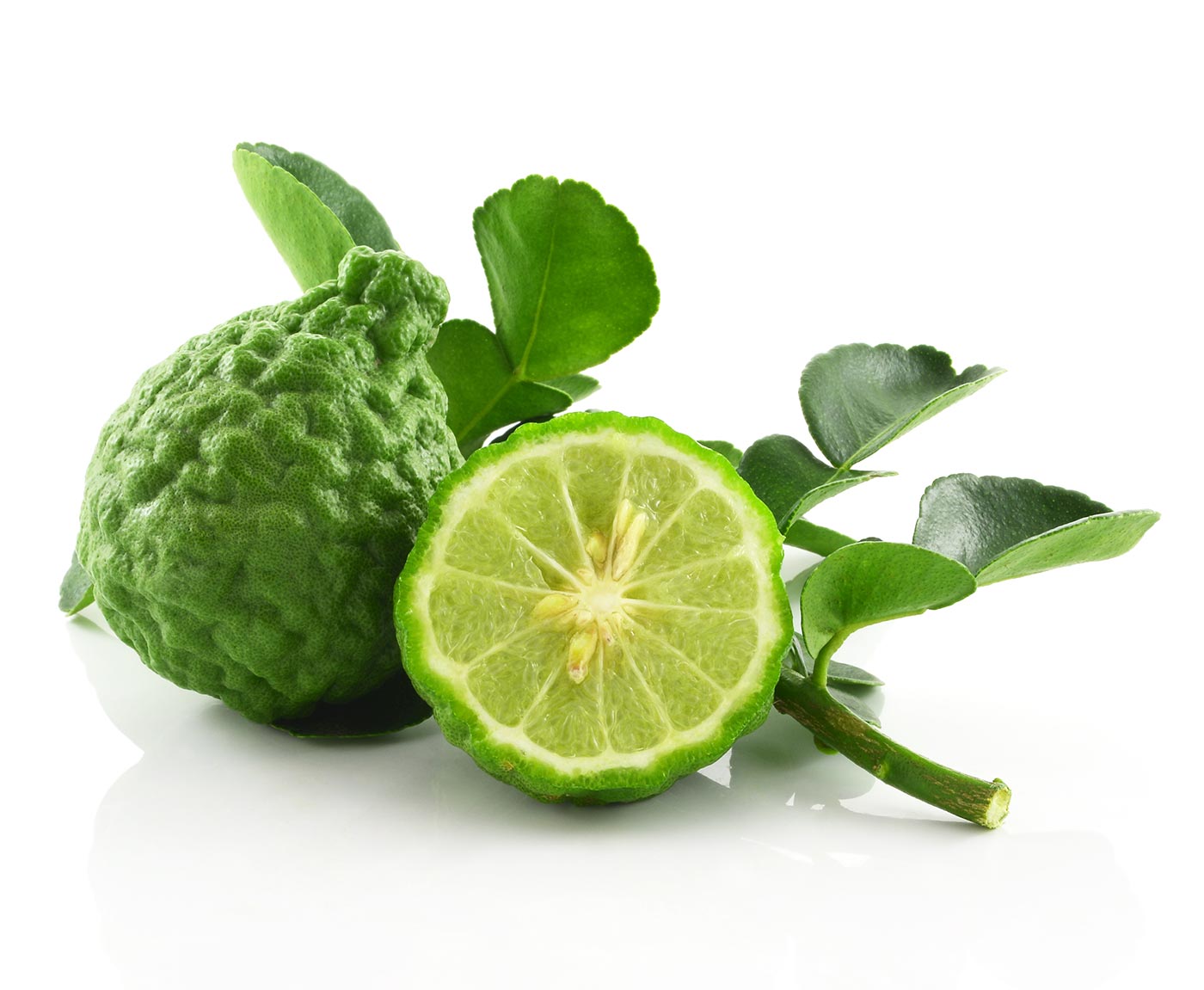 bergamot.jpg