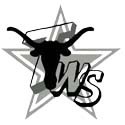 Texas Web Store Logo