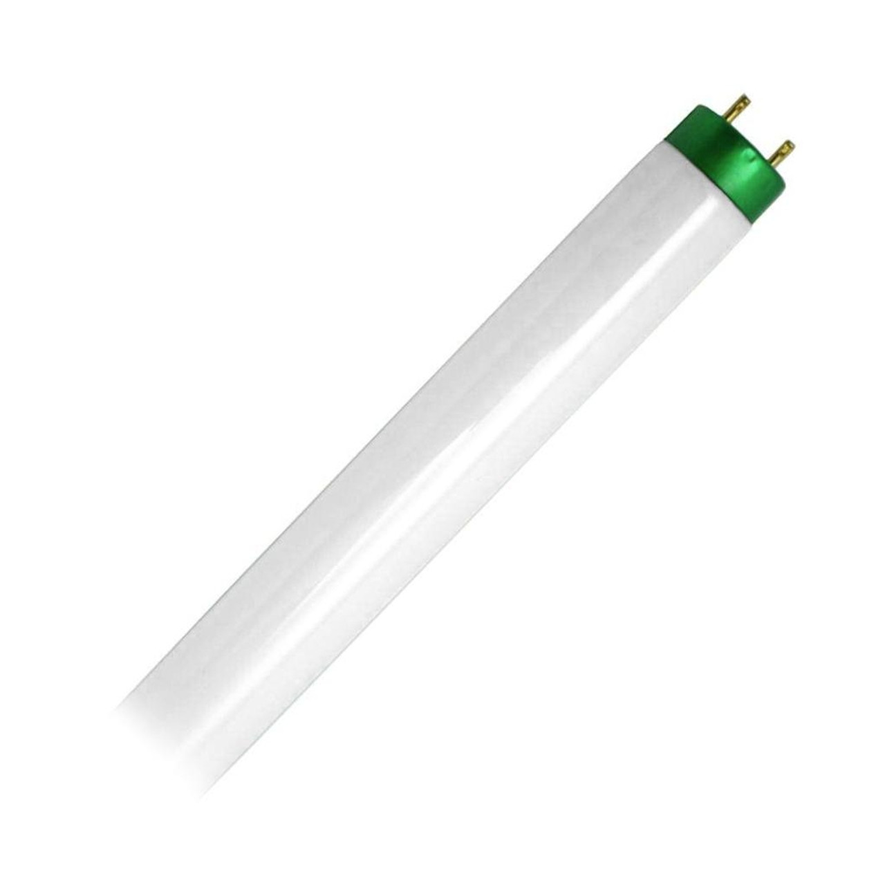 25 watt fluorescent bulb