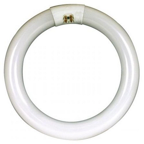 Ballast for 22 Watt Circuline Fluorescent Light Bulbs To be used with FC8T9//T5