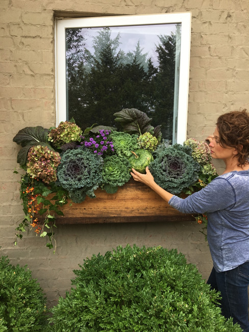 Transition Window Box Flowers from Summer to Fall