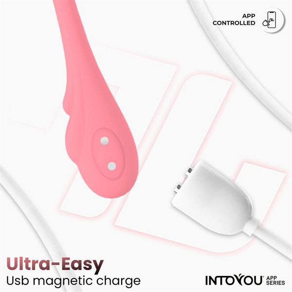 APP SERIES Vibrating Egg with Waving and APP USB