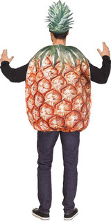 Costume d’Ananas pour Homme back