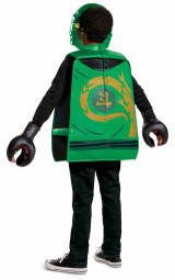 Costume d'enfant Lloyd Héritage Ninjago - deuxieme image