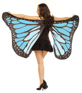 Ailes de Papillon Bleues Douces