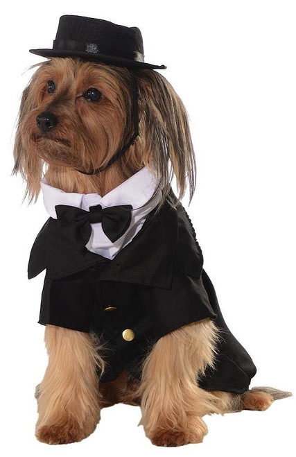 Dapper Dog Pet Costume