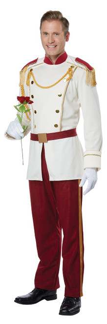 Costume de Prince Charmant de Conte de Fées