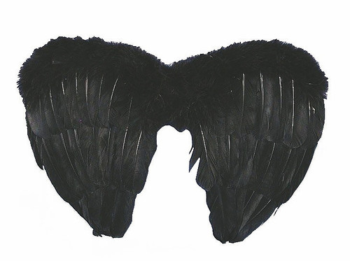 Ailes De Plumes Noires 14 Pouces