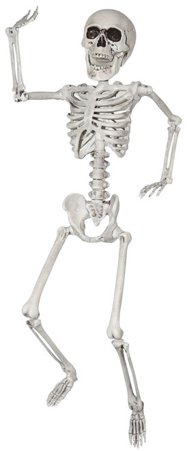 Decor Squelette