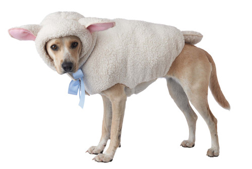 Costume de Mouton Berger pour Chien