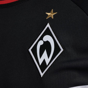 Werder-Raute vom grauen Torwarttrikot Werder-Raute vom grauen Torwarttrikot