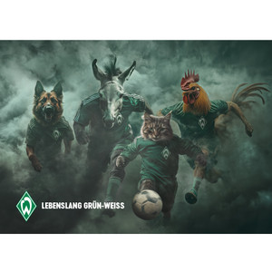 Bremer Stadtmusikanten als Illustration