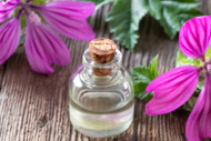 6 Ways To Use Rose Geranium Oil In Aromatherapy & Cosmetics